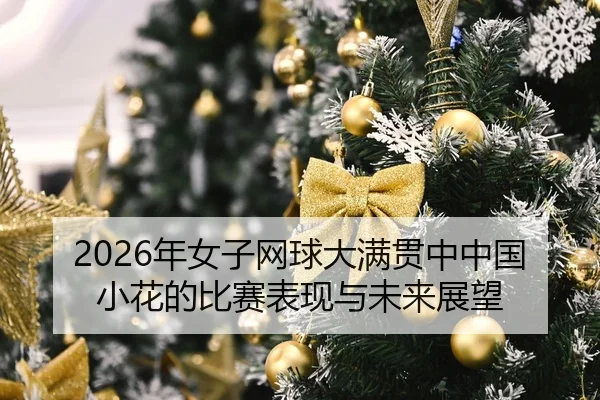 nian-nv-zi-wang-qiu-da-man-guan-zhong-zhong-guo-xiao-hua-de-bi-sai-biao-xian-yu-wei-lai-zhan-wang-2-246.jpg